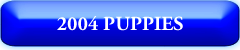 2004 Puppies