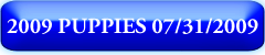 2009 Puppies 07/31/2009
